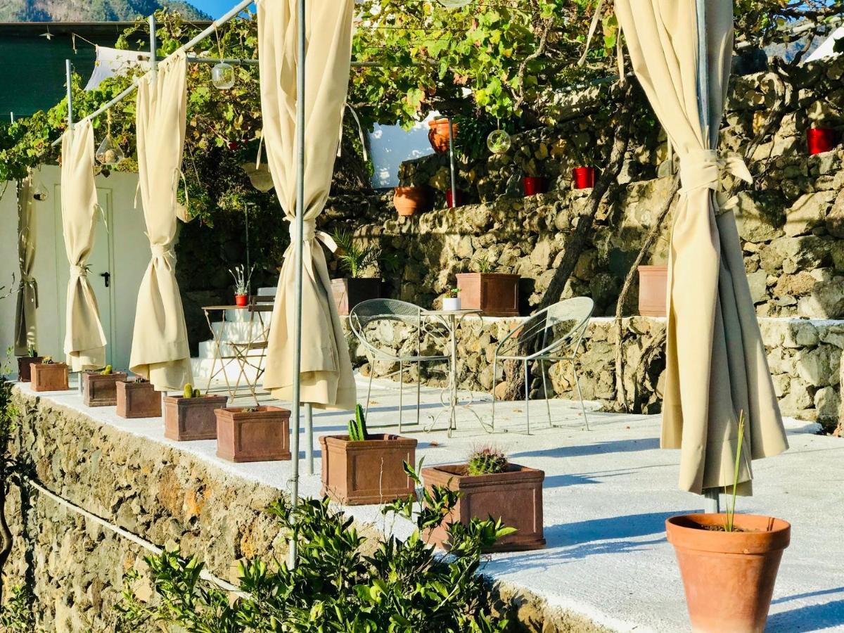 Bungalow Los Laureles エル・パソ エクステリア 写真